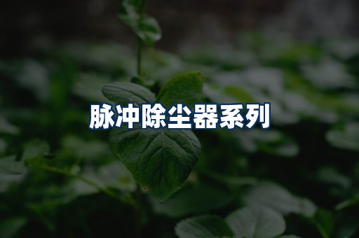 脉冲除尘器展示