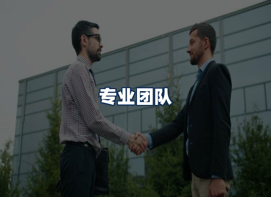 专业团队